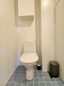 a bathroom with a white toilet in a room at City Home Finland Penthouse – SAUNA & Best Location in Tampere