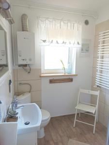 uma casa de banho com um lavatório, um WC e uma janela. em Apartament Jaśmin em Szklarska Poręba