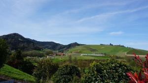 Blick auf einen grünen Hügel mit einem Bauernhof darauf in der Unterkunft Ferienwohnung Anna Durbach in Durbach