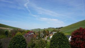 eine Stadt in einem Tal mit grünen Hügeln und Bäumen in der Unterkunft Ferienwohnung Anna Durbach in Durbach