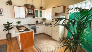 uma cozinha com electrodomésticos brancos e um vaso de plantas em Beach Apartment w Sea Views, 3x Bedrooms w En-Suites em Šibenik
