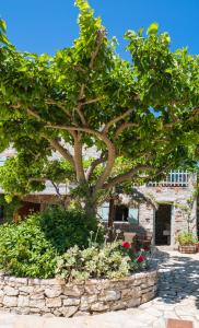 a tree in front of a stone wall with flowers at Palaeopoli Villas in Avlemonas
