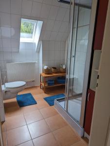 Rechenberg-BienenmühleにあるLandhaus Eilenberg Holzhauのバスルーム(トイレ、ガラス張りのシャワー付)