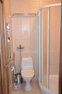 a small bathroom with a toilet and a shower at Panoramic Apt in the City center in Palanga