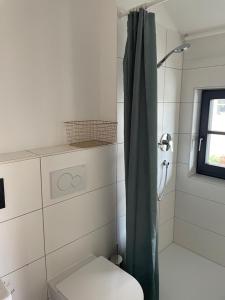 baño con ducha, aseo y ventana en Bezauberndes Tiny House im Grünen, en Breitbrunn am Chiemsee