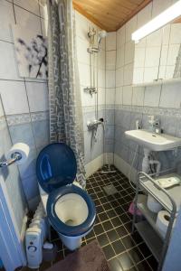 een badkamer met een blauw toilet en een wastafel bij Kodikas Studio in Tampere