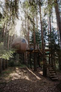 une cabane dans les arbres au milieu d'une forêt dans l'établissement Nature calls - tree tents, à Būtingė