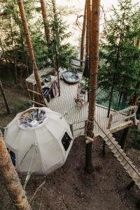 a tent on a deck in the woods at Nature calls - tree tents in Būtingė