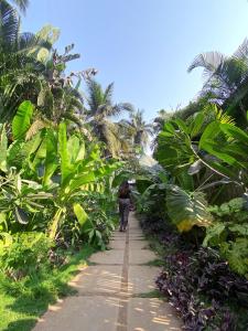 a person walking down a path between palm trees at The Unallome, Morjim in Morjim