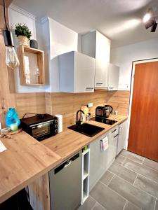 Kuchyň nebo kuchyňský kout v ubytování Studio Nebelhorn