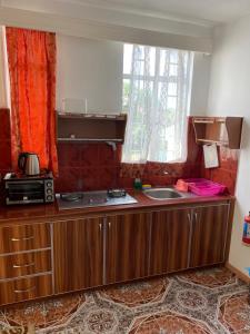 Kuchyň nebo kuchyňský kout v ubytování Apartments la Colombe