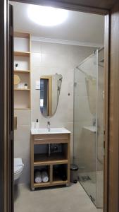 ein Bad mit einem Waschbecken und einer Dusche in der Unterkunft Apartments Spring in Čačak