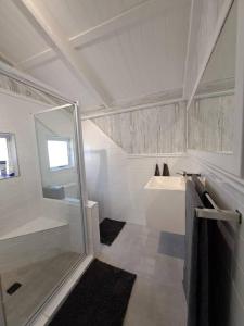 bagno con doccia e lavandino di Die Boomhuis. Pearly Beach a Pearly Beach