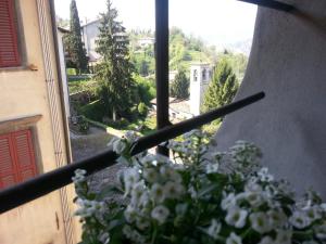 eine Vase mit weißen Blumen vor dem Fenster in der Unterkunft B&B Bergamo Alta in Bergamo