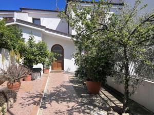 una casa con un patio con macetas y una puerta en Bilocale Big Nana Tortoli en Tortolì