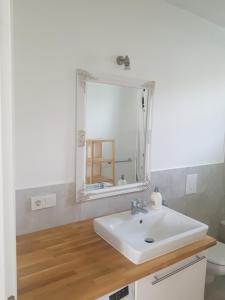 a bathroom with a sink and a mirror at Family Residence in Baia Mare