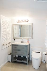 een badkamer met een wastafel, een toilet en een spiegel bij Cowry Acres - The First House Villa w Hot Tub in New Hope