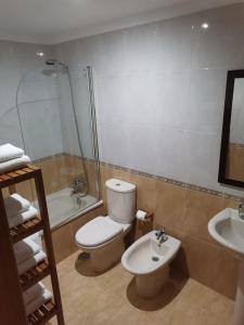 a bathroom with a toilet and a sink and a shower at Apartamento Llanes Mar y Monte in Llanes