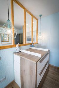a kitchen with a counter with two stuffed animals on it at La Longère Gasiaquoise in Gauchy