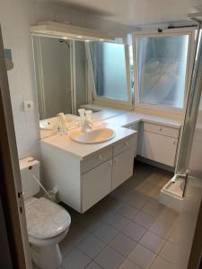 bagno bianco con lavandino e servizi igienici di Duplex St Gervais rooftop - 500m des télécabines a Saint-Gervais-les-Bains