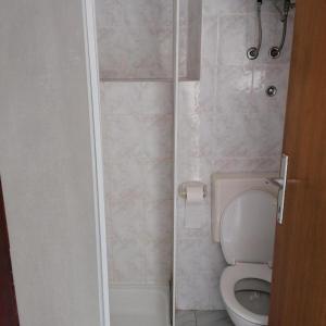 a small bathroom with a toilet and a shower at Apartments Lory in Rabac +16 photos