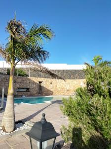 a palm tree next to a swimming pool at La Morreta Suites I - Lanzarote in Conil