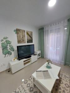 TV a/nebo společenská místnost v ubytování Apartman Mišić
