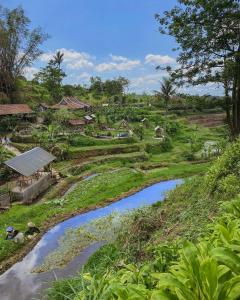 a river in a field with at Taman Dolan Home & Resort in Batu