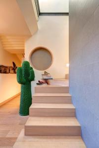 Billede fra billedgalleriet på sui tetti di bologna i Bologna