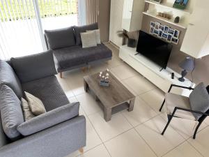 a living room with a couch and a tv and a table at LE DOMAINE DES SAULES in Richebourg