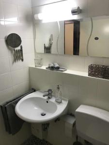 a bathroom with a sink and a toilet and a mirror at charmantes 1Zi Apartment im Herzen von Braunschweig mit Balkon in Braunschweig +1 photo