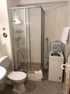 a bathroom with a shower and a toilet and a sink at charmantes 1Zi Apartment im Herzen von Braunschweig mit Balkon in Braunschweig