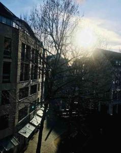 un árbol frente a un edificio con el sol en charmantes 1Zi Apartment im Herzen von Braunschweig mit Balkon en Brunswick