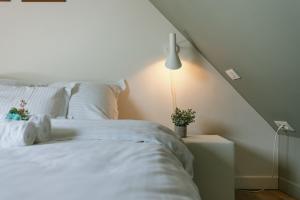 Fotografie z fotogalerie ubytování Huswell - Bonrepo Room 105 v Bruggách