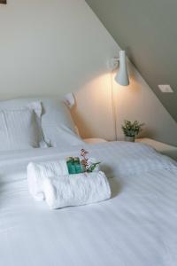 Fotografie z fotogalerie ubytování Huswell - Bonrepo Room 105 v Bruggách
