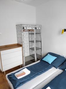 メゼーケヴェシュトにあるApartman Garami Portaのベッドルーム1室(ベッド1台、はしご、棚付)