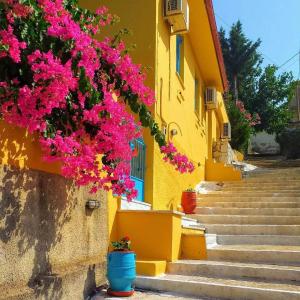 Fotografie z fotogalerie ubytování Villa Eleni v destinaci Ithaka