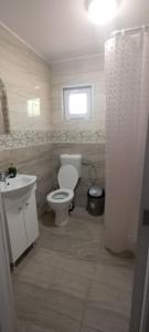 a bathroom with a toilet and a sink at Cazare de Vis 3 stele in Oreavul