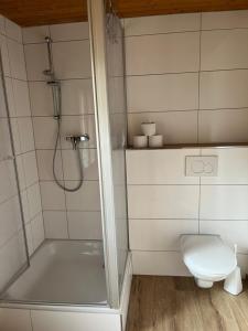 ein Bad mit einer Dusche und einem WC in der Unterkunft "Terrasse" Nessental in Gadmen