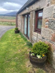 a stone house with two windows and some plants at Ben View Aberlour Luxury Barn Conversion in Aberlour