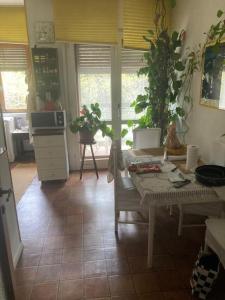 a kitchen with a table and some plants in it at La tua tranquilla casa a Trieste in Trieste