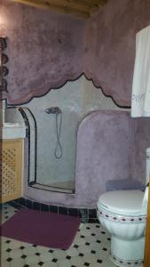 een badkamer met een douche en een toilet bij Dar Nour Fes in Fès