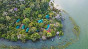 蒂瑟默哈拉默Flameback Eco Lodge的享有岛屿的空中景色,设有露营地