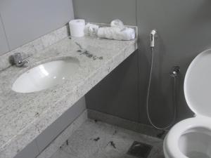 uma casa de banho com um lavatório e um WC em Manhuaçu Center Hotel em Manhuaçu