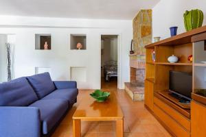 een woonkamer met een blauwe bank en een tv bij La Quercia in Selva di Fasano