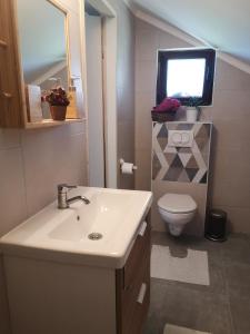 a bathroom with a sink and a toilet and a television at Apartman Snežana Jugovo in Smederevo