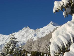 una montaña cubierta de nieve a lo lejos con árboles nevados en Apartment Topas by Interhome en Saas-Fee