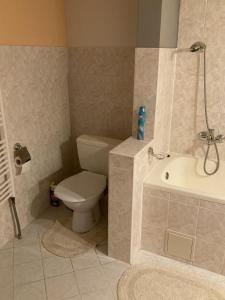 uma casa de banho com um WC, uma banheira e um lavatório. em Apartmán Na Ostrově Beroun em Beroun