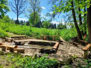 un jardin avec bancs et étang dans un champ dans l'établissement Holiday Home Chalet Toni mit Sauna by Interhome, à Spiegelau