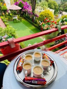 Jídlo v hotelu nebo okolí + 69 fotografií